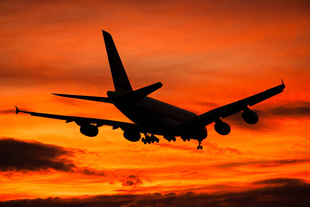 istock Jet airplane landing at dusk 514138459