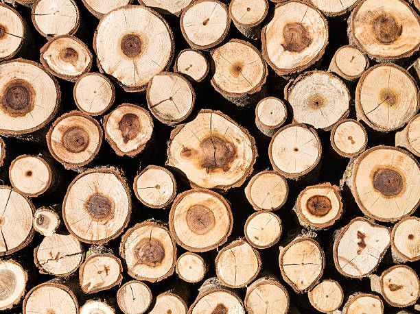 istock Pile of wood logs 514149520
