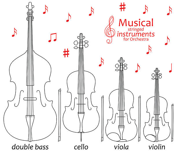 50+ Stringed Musical Instrument Pictures Stock Illustrations