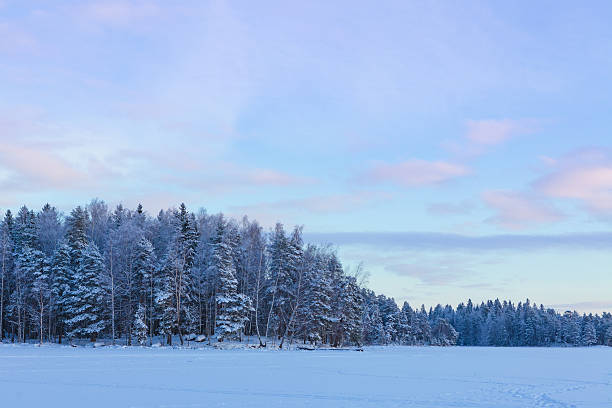 istock Frozen lake and snow covered forest 514151430