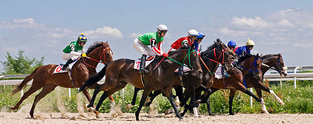 horse pferderennen - track event running competition sports race stock-fotos und bilder