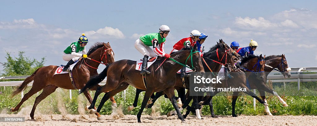 Horse racing Race for the prize of the Summer in Pyatigorsk,Caucasus. Horse Racing Stock Photo
