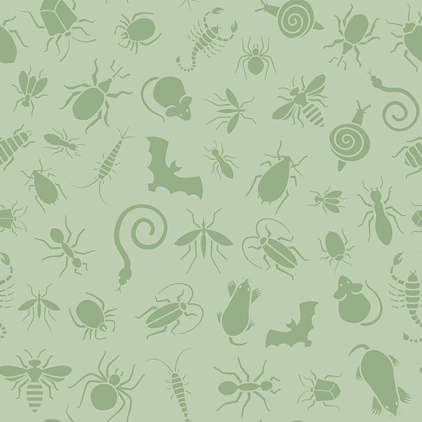 bildbanksillustrationer, clip art samt tecknat material och ikoner med seamless pattern of icons with insects for pest control business - pentatomidae