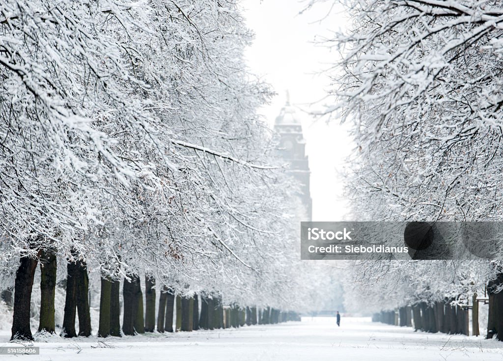 Snow covered Herkules-alley in Dresden in Winter with City Hall. Snow covered Herkules-alley in Dresden in Winter with City Hall in background and a single silhouette of a person walking past in the distance. Pegida city? Dresden - Germany Stock Photo