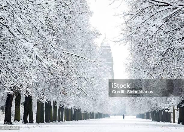 Snow Covered Herkulesalley In Dresden In Winter With City Hall Stock Photo - Download Image Now