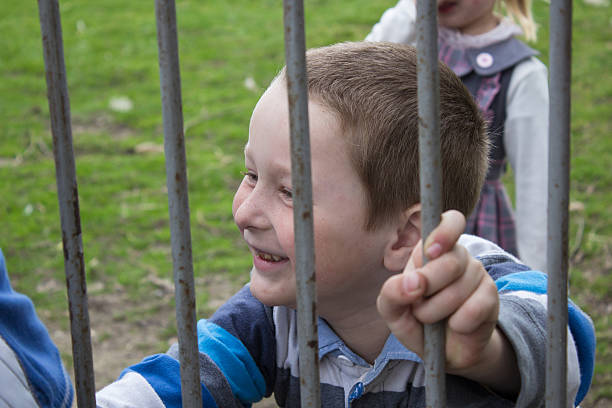 istock Boy on a metal fence 514159396
