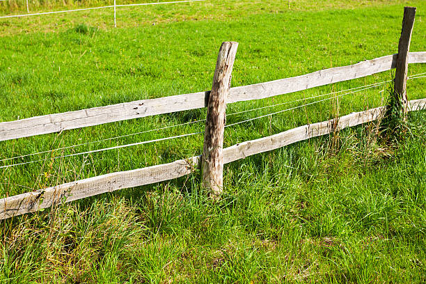 istock Fence of meadow 514161524