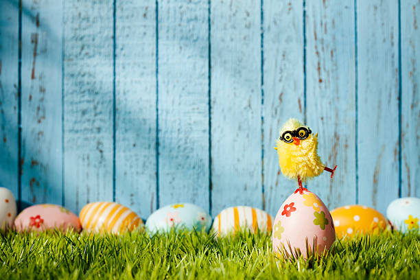 ebete di pasqua-uovo di pollo equilibrio umorismo sfondo legno stagione - funny eggs foto e immagini stock