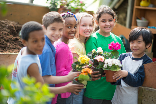 A multi-ethnic group of elementary age students are picking out plants together in a nursery on a school field trip.