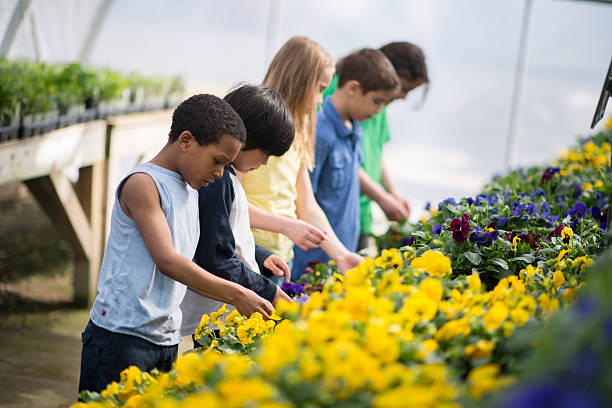 istock Looking at Rows of Flowers 514161940