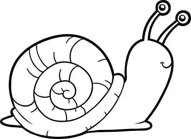 Vector illustration of Coloring book, coloring page (snail)