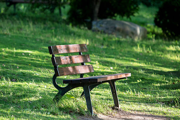 istock wooden chair in park 514164924