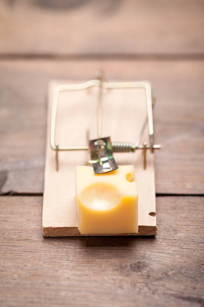 istock Close up of mouse trap on old wooden table 514166290