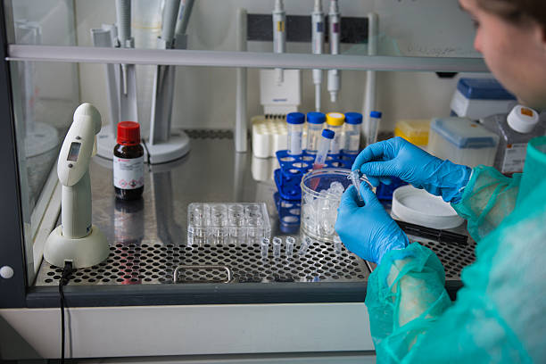 istock Youg woman in laboratory 514168762