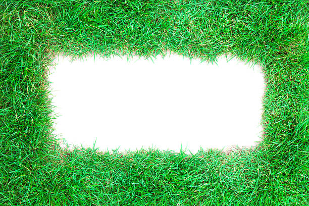 istock frame of lawn grass background 514169782