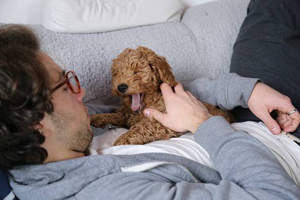 istock Handsome boy with puppy yawning 514170152