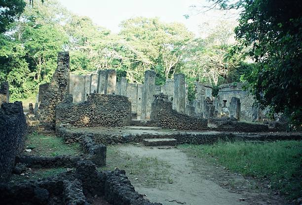 istock Kenya, Near Malindi 514170210