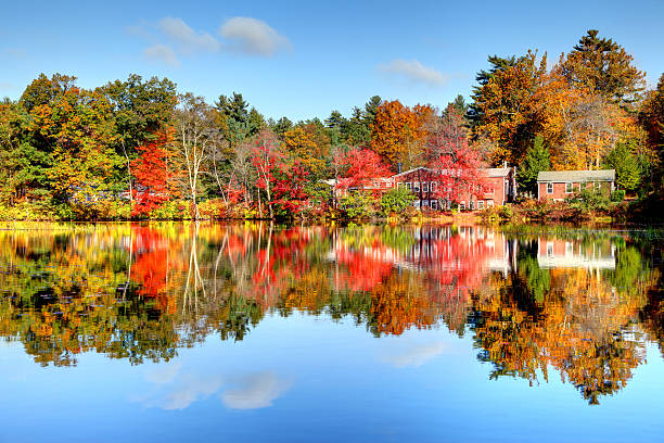 istock Autumn Reflection on a small pon in Worcester County. 514174147