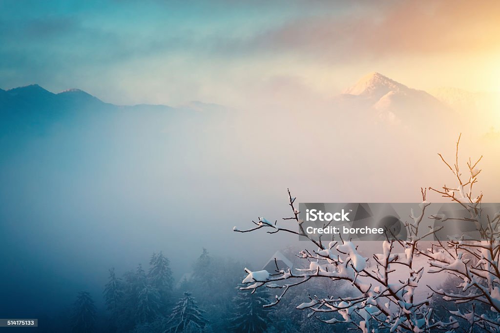 Winter-Sonnenaufgang - Lizenzfrei Winter Stock-Foto