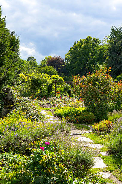 Natura-ogród botaniczny na ścieżkę – zdjęcie