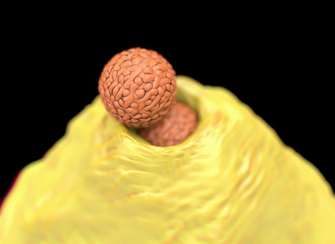 Neutrophil Ingesting MRSA bacteria, 3D artwork