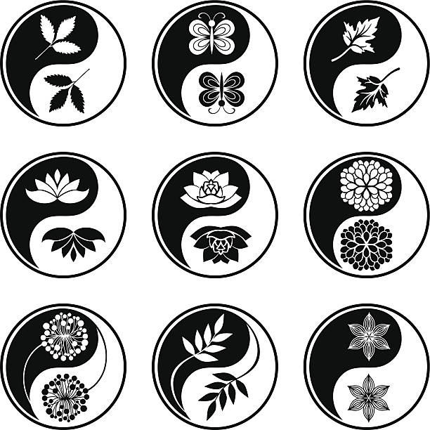 yin yang symbole - yin yang symbol lotus illustration and painting yin yang ball stock illustrations