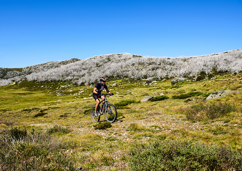 Mountain biker climbing hill in Falls Creek, Australian Alps