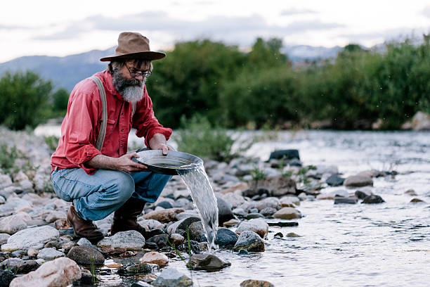 Panning for gold, Yellowstone A local man pans for gold on the bank of a river, Yellowstone National Park.   panning for gold photos stock pictures, royalty-free photos & images