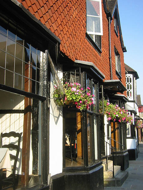 istock Flowers In Front Of Shops 514178815