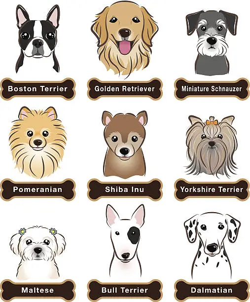 Vector illustration of Dog / Nameplate