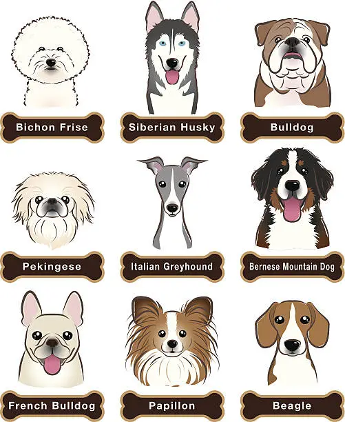 Vector illustration of Dog / Nameplate