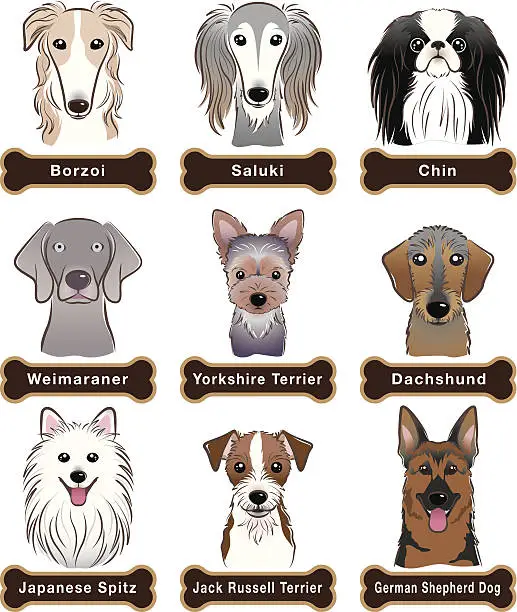 Vector illustration of Dog / Nameplate