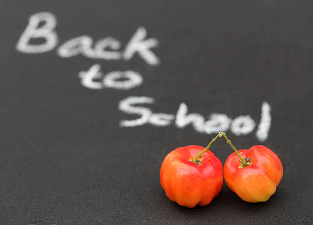 istock Back to School written in a black board 514211121