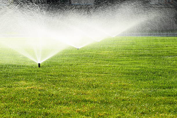 istock garden sprinkler on the green lawn 514211175