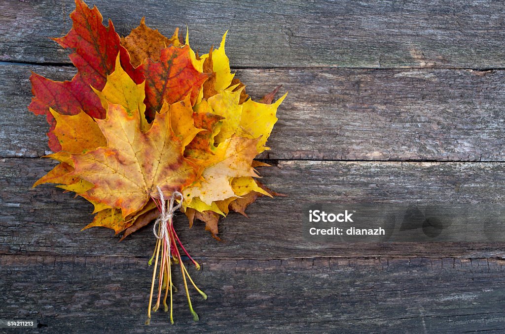 heap of maple leafs on wooden surface Aging Process Stock Photo