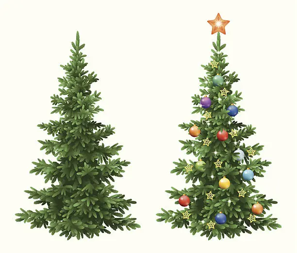 Vector illustration of Christmas spruce fir trees with ornaments