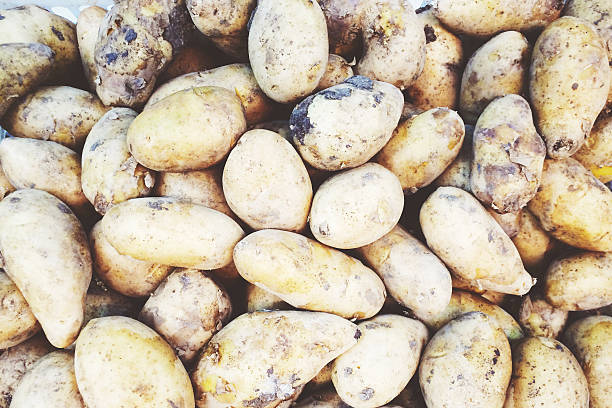 Potato pattern background