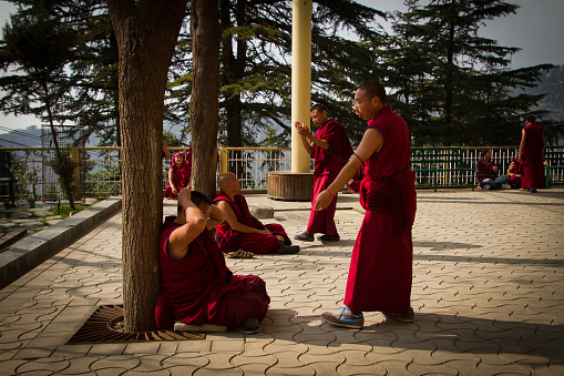 McLeod Ganj, India - March 1, 2016: Buddhist monks and nuns debate together to celebrate Losar, the Tibetan New Year at the Dalai Lama temple, McLeod Ganj, India