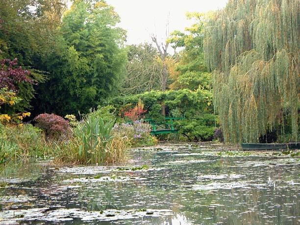 istock Footbridge across pond with willow tree and boat 514214609