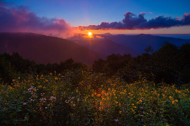 istock Landscape wildflower sunrise Blue Ridge 514214993