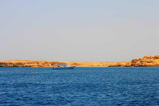 istock White ship moving by the red sea 514215181