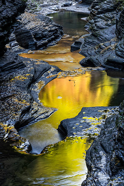 The Early Morning Color Of Watkins Glen State Park Watkins Glen State Park At Sunrise lake seneca stock pictures, royalty-free photos & images