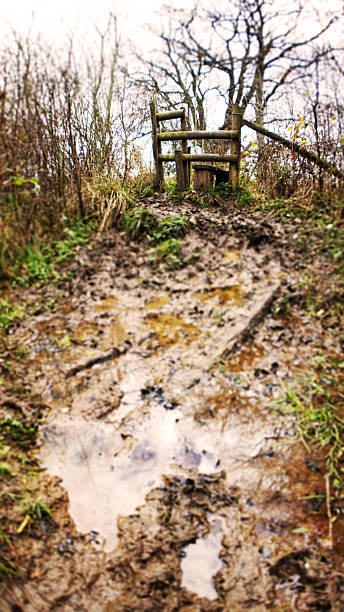 trüben weg zu einem zaunübertritt - chrissy stock-fotos und bilder