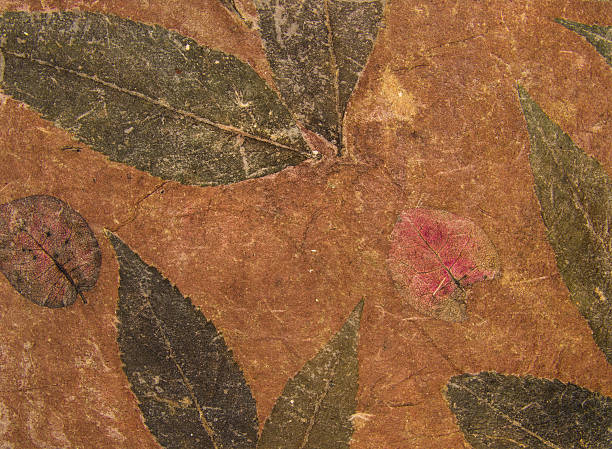 istock Aged handmade brown paper texture with leaves herbarium 514216369