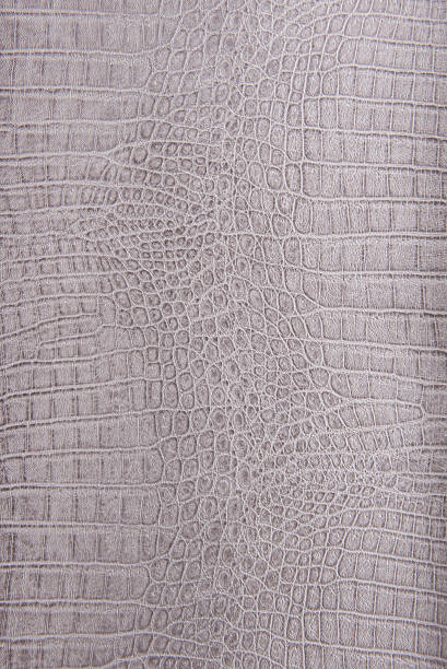 istock Crocodile skin leather, gray background 514217511