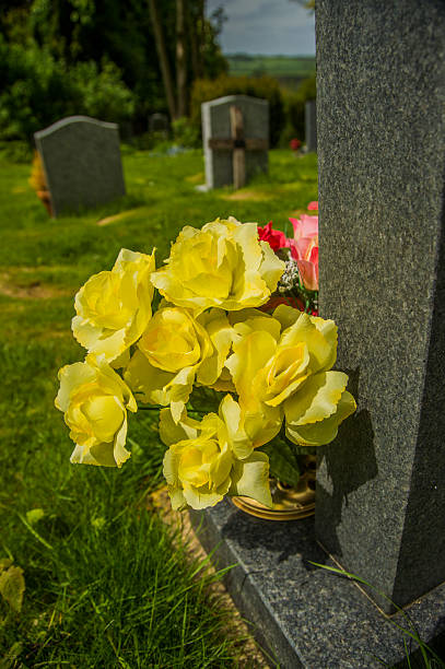 tombe - new life death cemetery flower photos et images de collection