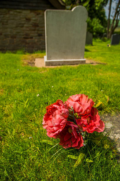 tombe - new life death cemetery flower photos et images de collection