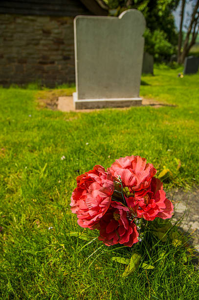 accento grave - new life death cemetery flower foto e immagini stock
