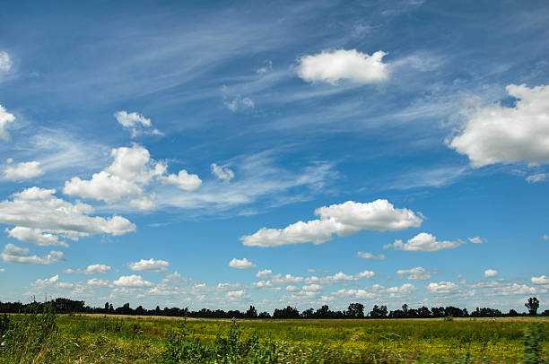 Green field and trees under blue sky stock photo