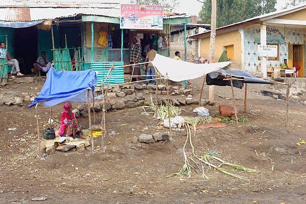 Gerba, Ethiopia-March 25, 2013: Woman sells sugarcane in her stall on the groundfloor under blue plastic cover beside the main road on March 25, 2013. Debub Wollo zone-Amhara region-Ethiopia.